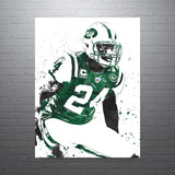 Darrelle Revis New York Jets Football Art Poster