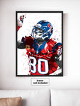 Andre Johnson Houston Texans Football Art Poster