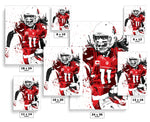 Larry Fitzgerald Arizona Cardinals Football Art Poster