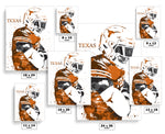 Texas Longhorns NCAA College Art Poster