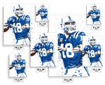 Peyton Manning Indianapolis Colts Football Art Poster