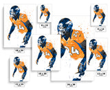 Champ Bailey Denver Broncos Football Art Poster