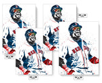 David Ortiz Boston Red Sox Baseball Art Poster