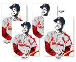 Stan Musial Cardinals St. Louis Cardinals Baseball Art Poster