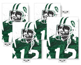 Joe Namath New York Jets Football Art Poster