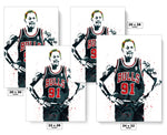 Dennis Rodman Chicago Bulls Basketball Art Poster